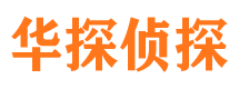 洛龙侦探公司